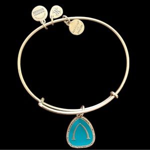Alex and Ani Disney Silver Bangle - VGUC